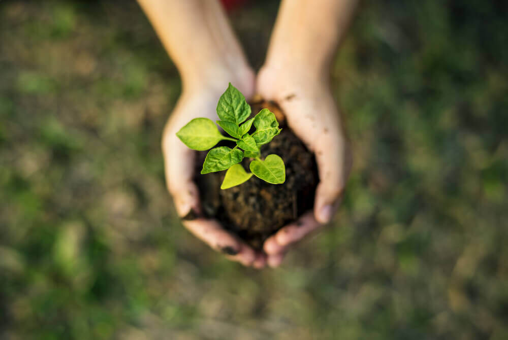 sustentabilidade-o-que-e-entenda-diferentes-tipos-praticas