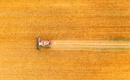 crop-2026-bloco-3-image-1
